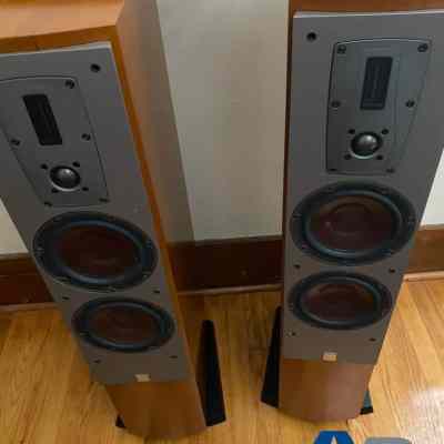 Dali Mentor 6 Speakers for sale
