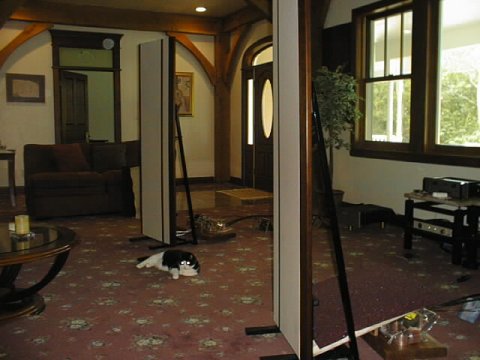 Magnepan MG-3.6r Speaker Review