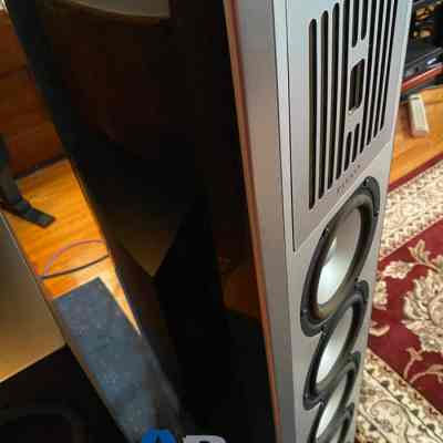 Piega C40 Speaker Review